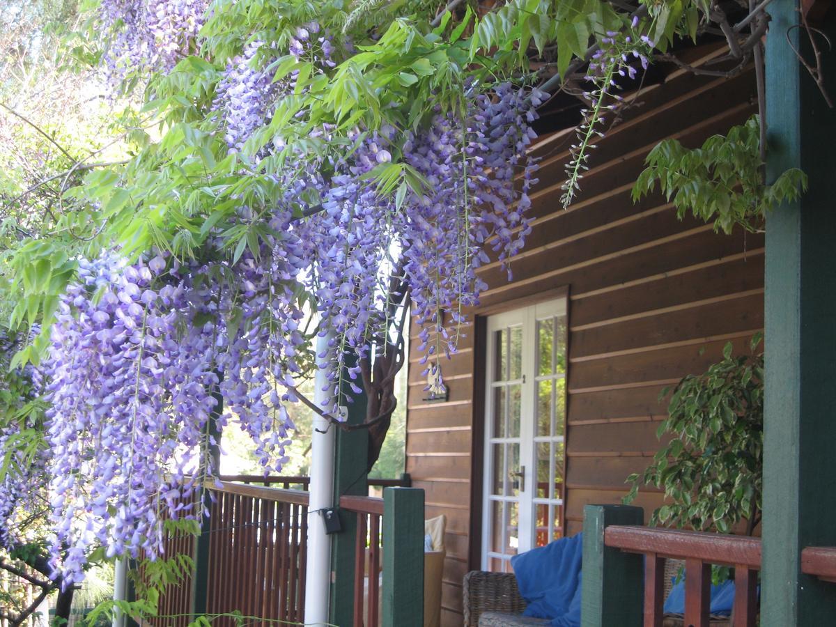 Rosemoore Bed & Breakfast Perth Kültér fotó